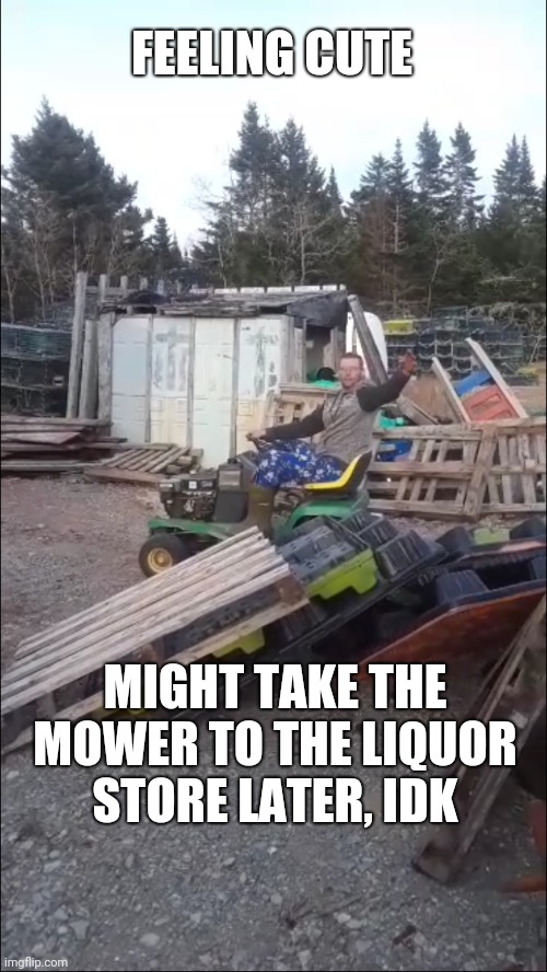 Feelin cute might go get some beer | FEELING CUTE; MIGHT TAKE THE MOWER TO THE LIQUOR STORE LATER, IDK | image tagged in feelin cute might go get some beer | made w/ Imgflip meme maker