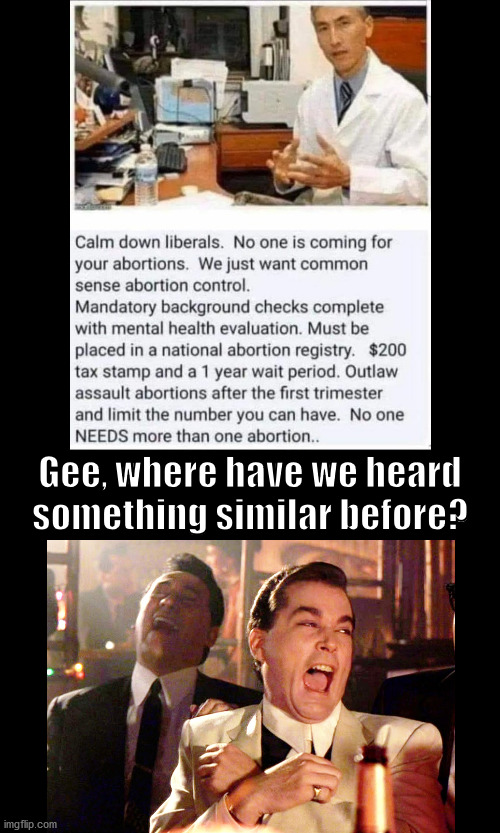 Sound Familiar? | Gee, where have we heard something similar before? | image tagged in abortion,politics lol | made w/ Imgflip meme maker