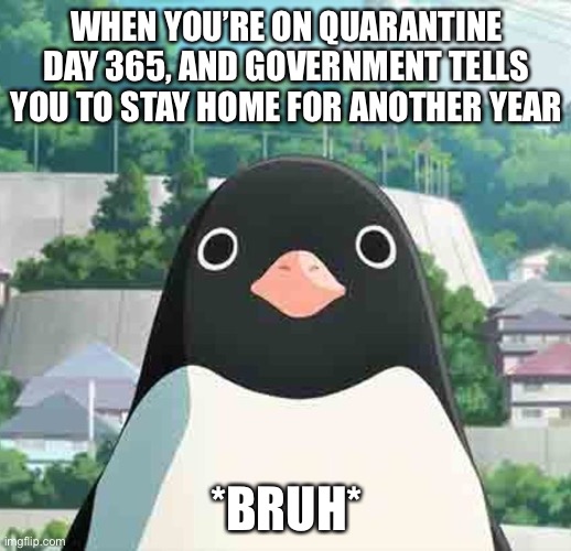 Penguin highway stare | WHEN YOU’RE ON QUARANTINE DAY 365, AND GOVERNMENT TELLS YOU TO STAY HOME FOR ANOTHER YEAR; *BRUH* | image tagged in penguin highway stare | made w/ Imgflip meme maker
