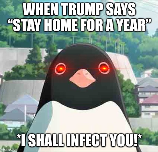 Penguin highway stare | WHEN TRUMP SAYS “STAY HOME FOR A YEAR”; *I SHALL INFECT YOU!* | image tagged in penguin highway stare | made w/ Imgflip meme maker