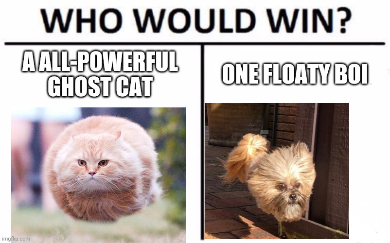 Who Would Win? | A ALL-POWERFUL GHOST CAT; ONE FLOATY BOI | image tagged in memes,who would win | made w/ Imgflip meme maker