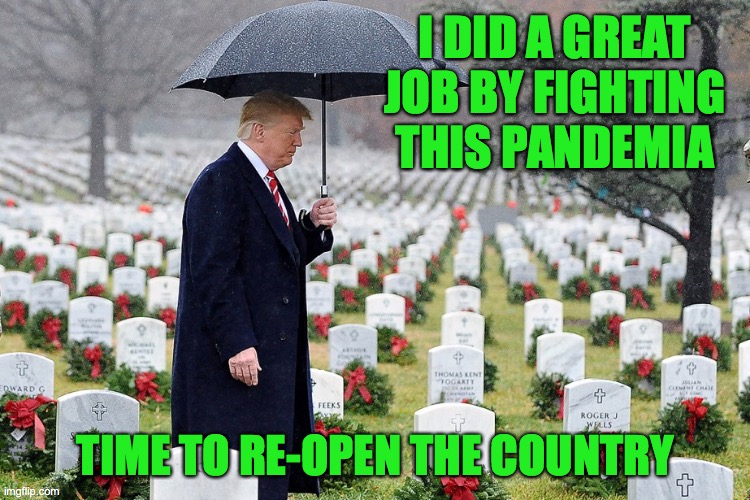 I did a Great Job | I DID A GREAT JOB BY FIGHTING THIS PANDEMIA; TIME TO RE-OPEN THE COUNTRY | image tagged in pandemia,memes,funny,donald trump,fun,country | made w/ Imgflip meme maker