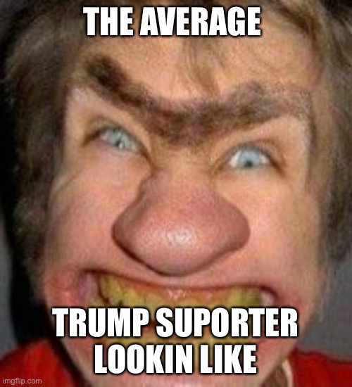 Yep. | THE AVERAGE; TRUMP SUPORTER LOOKIN LIKE | image tagged in donald trump,conservatives | made w/ Imgflip meme maker