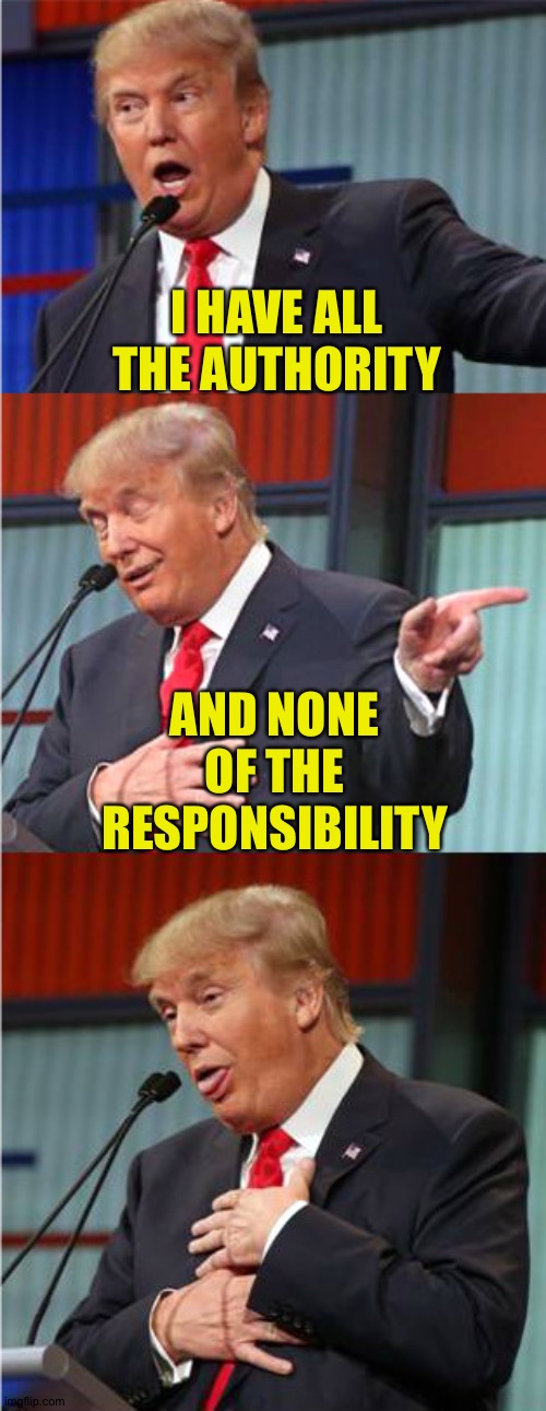 I have it all...and none of it... | I HAVE ALL THE AUTHORITY; AND NONE OF THE RESPONSIBILITY | image tagged in bad pun trump | made w/ Imgflip meme maker