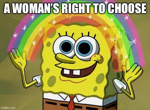 Abortion will never make sense to you if you can’t grasp this simple concept. | A WOMAN’S RIGHT TO CHOOSE | image tagged in imagination spongebob,abortion,murder,pro-choice,women's rights,women rights | made w/ Imgflip meme maker