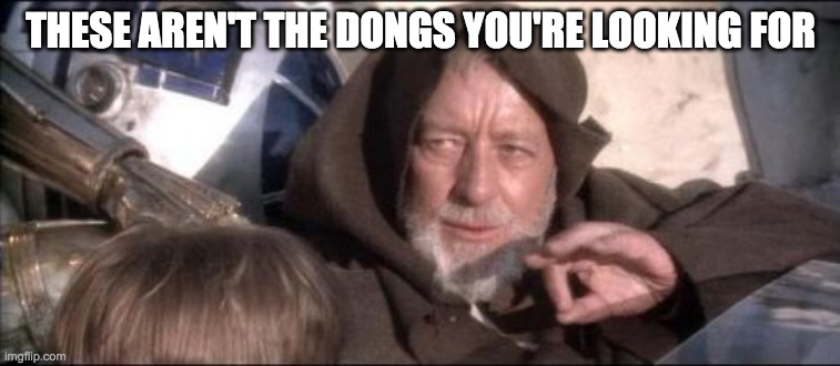 Dongs | THESE AREN'T THE DONGS YOU'RE LOOKING FOR | image tagged in these aren't the droids you were looking for,dongs,vnd,star wars,obi wan kenobi | made w/ Imgflip meme maker