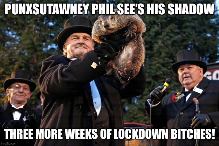 Groundhog Lockdown | PUNXSUTAWNEY PHIL SEE’S HIS SHADOW; THREE MORE WEEKS OF LOCKDOWN BITCHES! | image tagged in groundhog day,groundhog,lockdown,covid-19,coronavirus,three weeks | made w/ Imgflip meme maker