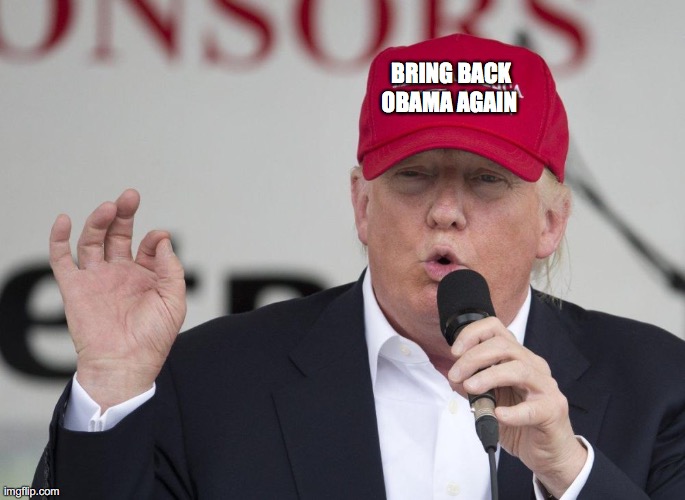 2020 Election Trump New Hat | OBAMA AGAIN; BRING BACK | image tagged in new trump hat,barack obama,funny,memes,election 2020,donald trump | made w/ Imgflip meme maker