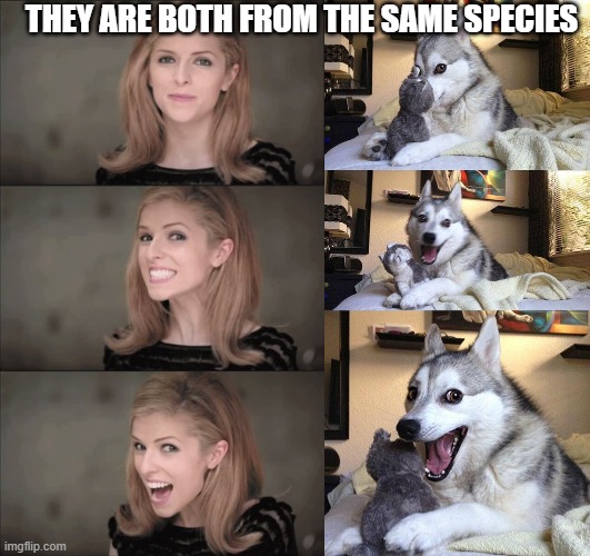 THEY ARE BOTH FROM THE SAME SPECIES | image tagged in memes,bad pun dog,bad pun anna kendrick | made w/ Imgflip meme maker