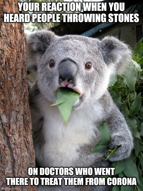 Surprised Koala | YOUR REACTION WHEN YOU HEARD PEOPLE THROWING STONES; ON DOCTORS WHO WENT THERE TO TREAT THEM FROM CORONA | image tagged in memes,surprised koala | made w/ Imgflip meme maker