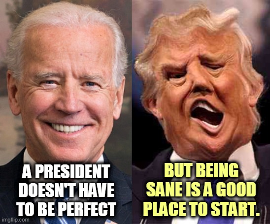 Joe's OK, Don's unsafe at any age. | BUT BEING SANE IS A GOOD PLACE TO START. A PRESIDENT DOESN'T HAVE TO BE PERFECT | image tagged in biden sane trump not so much,biden,ok,trump,sick,crazy | made w/ Imgflip meme maker