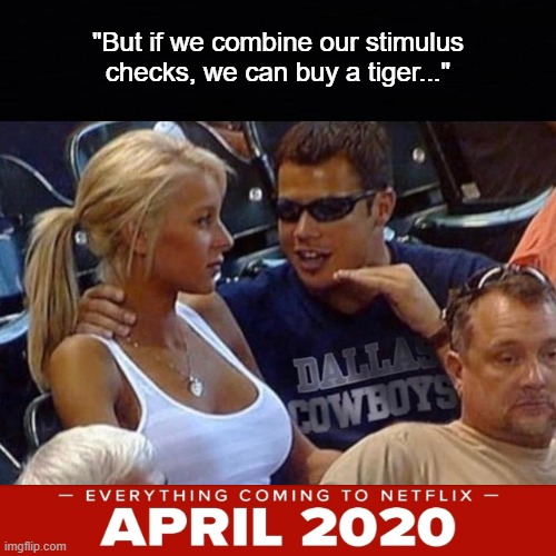 "But if we combine our stimulus checks, we can buy a tiger..." | image tagged in tiger king,netflix | made w/ Imgflip meme maker