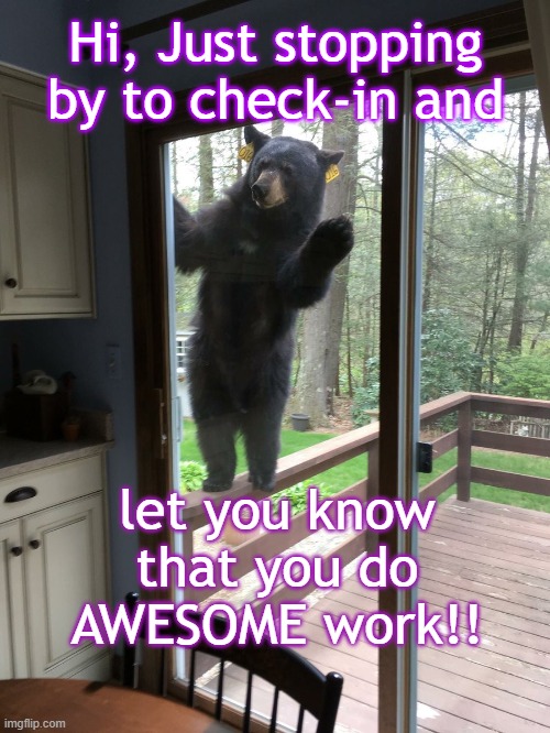 bear window | Hi, Just stopping by to check-in and; let you know that you do AWESOME work!! | image tagged in bear window | made w/ Imgflip meme maker