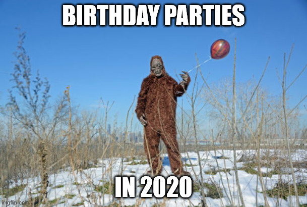 Birthday Parties | BIRTHDAY PARTIES; IN 2020 | image tagged in lonely,bigfoot | made w/ Imgflip meme maker