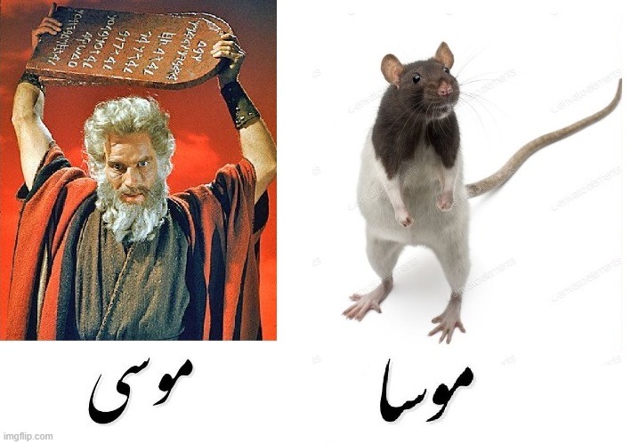 image tagged in angry old moses,mouse,urdu,homonyms | made w/ Imgflip meme maker