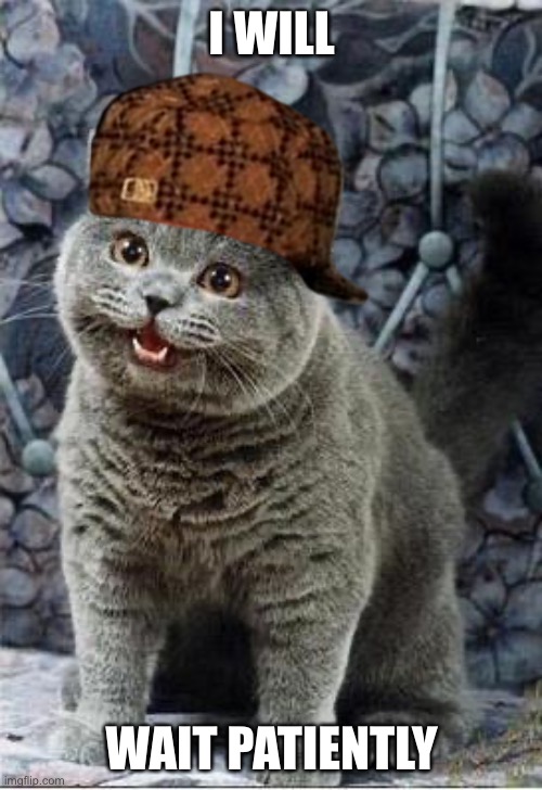 I can has cheezburger cat | I WILL WAIT PATIENTLY | image tagged in i can has cheezburger cat | made w/ Imgflip meme maker