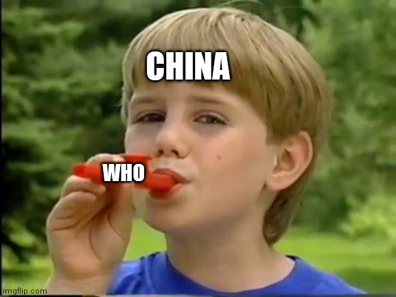 Kazoo Kid | CHINA; WHO | image tagged in kazoo kid | made w/ Imgflip meme maker