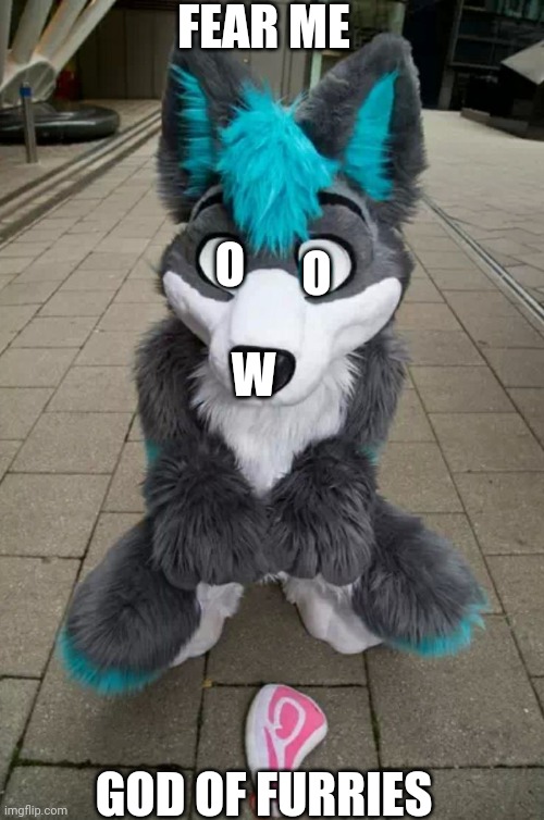 Furry | FEAR ME GOD OF FURRIES O W O | image tagged in furry | made w/ Imgflip meme maker