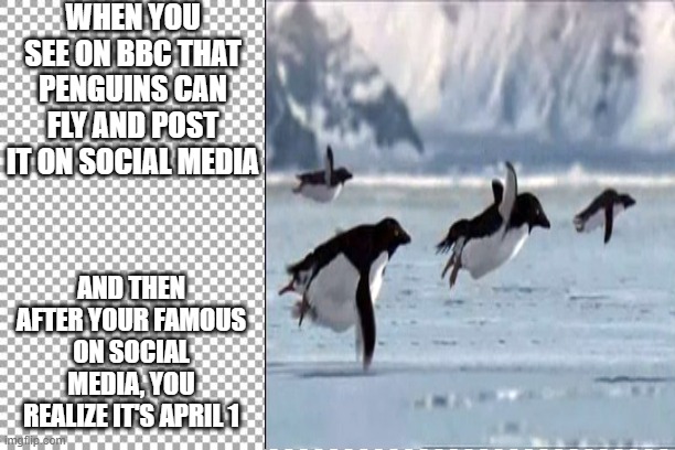WHEN YOU SEE ON BBC THAT PENGUINS CAN FLY AND POST IT ON SOCIAL MEDIA; AND THEN AFTER YOUR FAMOUS ON SOCIAL MEDIA, YOU REALIZE IT'S APRIL 1 | image tagged in flying penguin | made w/ Imgflip meme maker