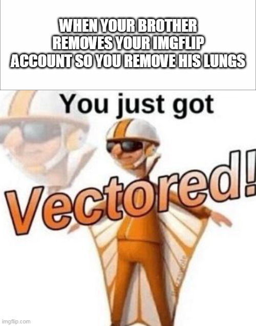 WHEN YOUR BROTHER REMOVES YOUR IMGFLIP ACCOUNT SO YOU REMOVE HIS LUNGS | image tagged in you just got vectored | made w/ Imgflip meme maker