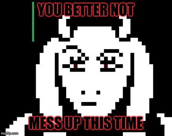 Undertale - Toriel | YOU BETTER NOT; MESS UP THIS TIME | image tagged in undertale - toriel | made w/ Imgflip meme maker