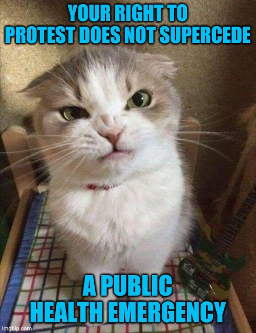 Angry cat | YOUR RIGHT TO PROTEST DOES NOT SUPERCEDE A PUBLIC HEALTH EMERGENCY | image tagged in angry cat | made w/ Imgflip meme maker