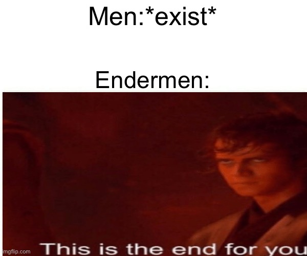 Men:*exist*; Endermen: | image tagged in the end | made w/ Imgflip meme maker