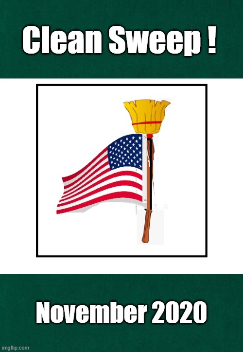 clean sweep | Clean Sweep ! November 2020 | image tagged in patriotic | made w/ Imgflip meme maker