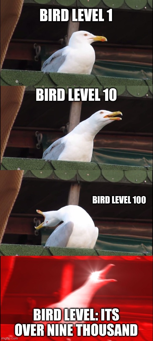 Inhaling Seagull | BIRD LEVEL 1; BIRD LEVEL 10; BIRD LEVEL 100; BIRD LEVEL: ITS OVER NINE THOUSAND | image tagged in memes,inhaling seagull | made w/ Imgflip meme maker