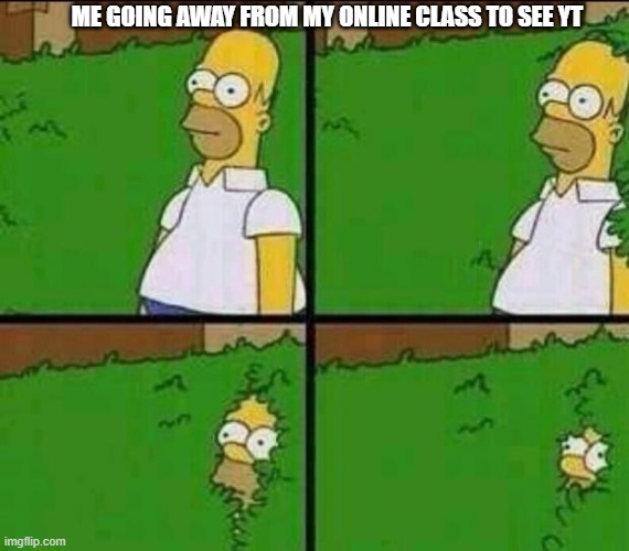 Homer Simpson in Bush - Large | ME GOING AWAY FROM MY ONLINE CLASS TO SEE YT | image tagged in homer simpson in bush - large | made w/ Imgflip meme maker