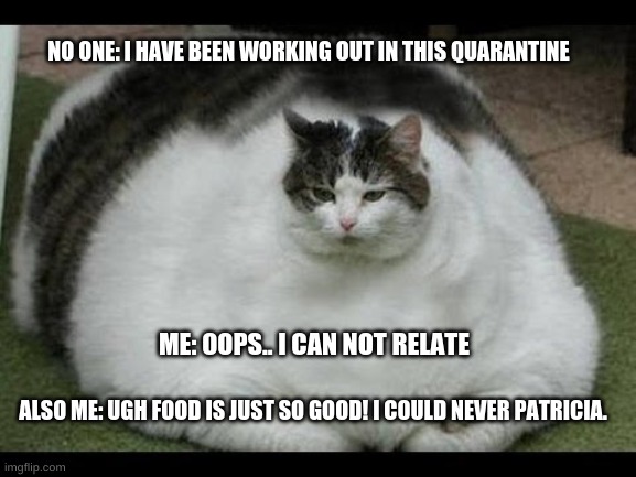 Fat Cat | NO ONE: I HAVE BEEN WORKING OUT IN THIS QUARANTINE; ME: OOPS.. I CAN NOT RELATE; ALSO ME: UGH FOOD IS JUST SO GOOD! I COULD NEVER PATRICIA. | image tagged in fat cat | made w/ Imgflip meme maker