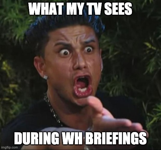 DJ Pauly D | WHAT MY TV SEES; DURING WH BRIEFINGS | image tagged in memes,dj pauly d | made w/ Imgflip meme maker