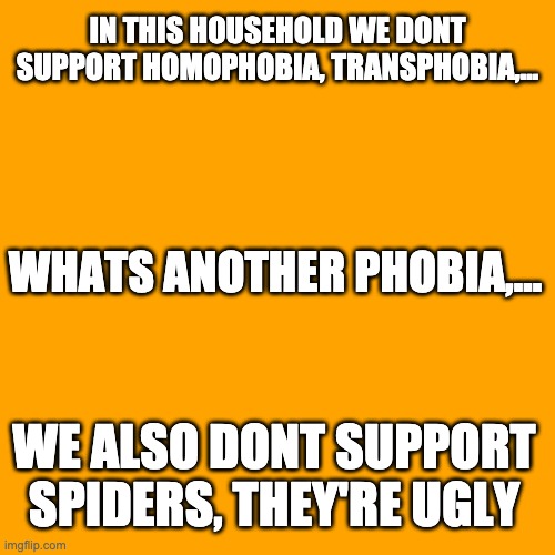 IN THIS HOUSEHOLD WE DONT SUPPORT HOMOPHOBIA, TRANSPHOBIA,... WHATS ANOTHER PHOBIA,... WE ALSO DONT SUPPORT SPIDERS, THEY'RE UGLY | image tagged in pride | made w/ Imgflip meme maker