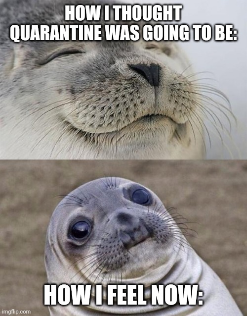 Short Satisfaction VS Truth Meme | HOW I THOUGHT QUARANTINE WAS GOING TO BE:; HOW I FEEL NOW: | image tagged in memes,short satisfaction vs truth | made w/ Imgflip meme maker