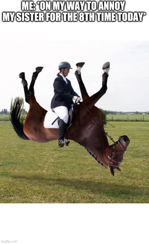 Horse upside down | ME: *ON MY WAY TO ANNOY 
MY SISTER FOR THE 8TH TIME TODAY* | image tagged in horse upside down | made w/ Imgflip meme maker