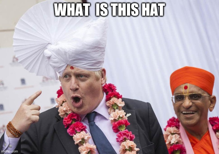 funny boris | WHAT  IS THIS HAT | image tagged in funny boris,politics | made w/ Imgflip meme maker