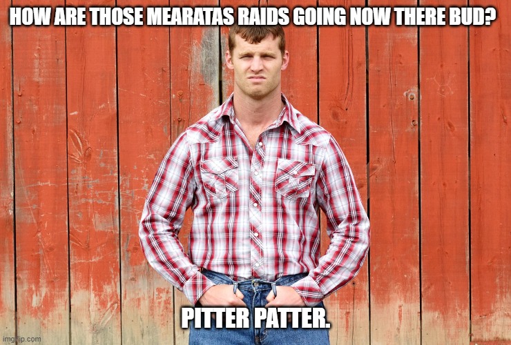 Letterkenny Wayne | HOW ARE THOSE MEARATAS RAIDS GOING NOW THERE BUD? PITTER PATTER. | image tagged in letterkenny wayne | made w/ Imgflip meme maker