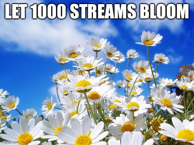 Let’s celebrate streams: A wonderful tool for free expression through memeing. | LET 1000 STREAMS BLOOM | image tagged in spring daisy flowers,imgflip,welcome to imgflip,imgflip community,imgflip mods,memes about memeing | made w/ Imgflip meme maker