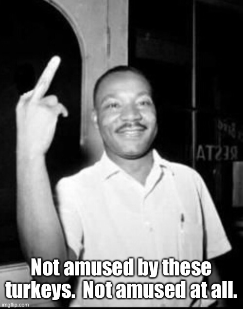 Mlk Martin Luther king Jr mlk middle finger the bird | Not amused by these turkeys.  Not amused at all. | image tagged in mlk martin luther king jr mlk middle finger the bird | made w/ Imgflip meme maker