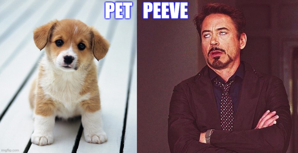PET   PEEVE | image tagged in robert downey jr annoyed | made w/ Imgflip meme maker