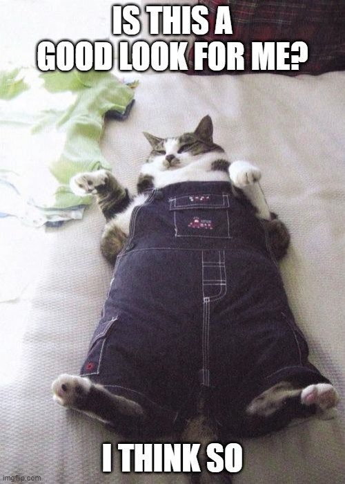Fat Cat | IS THIS A GOOD LOOK FOR ME? I THINK SO | image tagged in memes,fat cat | made w/ Imgflip meme maker