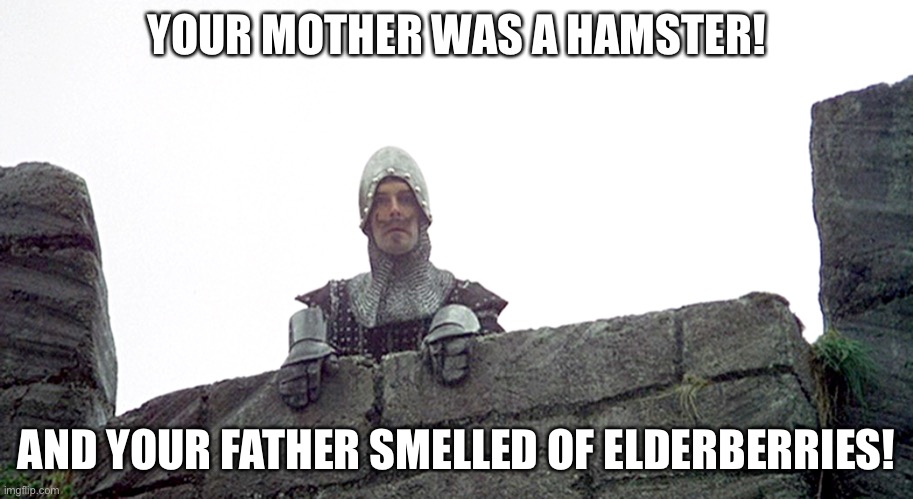 french knight | YOUR MOTHER WAS A HAMSTER! AND YOUR FATHER SMELLED OF ELDERBERRIES! | image tagged in french knight | made w/ Imgflip meme maker