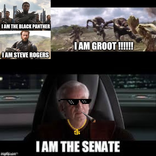 I AM THE BLACK PANTHER; I AM GROOT !!!!!! I AM STEVE ROGERS | image tagged in when you realize,marvel cinematic universe,i am the senate | made w/ Imgflip meme maker