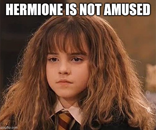 Dissapointed Hermione | HERMIONE IS NOT AMUSED | image tagged in dissapointed hermione | made w/ Imgflip meme maker