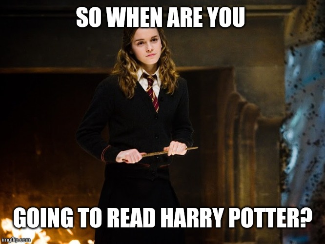 Hermione Granger | SO WHEN ARE YOU; GOING TO READ HARRY POTTER? | image tagged in hermione granger | made w/ Imgflip meme maker
