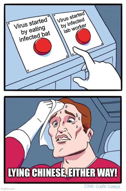 Two Buttons Meme | Virus started 
by infected 
lab worker; Virus started 
by eating infected bat; LYING CHINESE, EITHER WAY! | image tagged in memes,two buttons | made w/ Imgflip meme maker