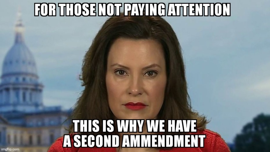 OVER REACH | image tagged in government shutdown,governor,second amendment | made w/ Imgflip meme maker