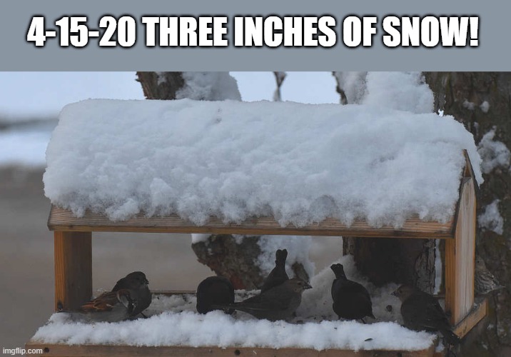 4-15-20 THREE INCHES OF SNOW! | made w/ Imgflip meme maker