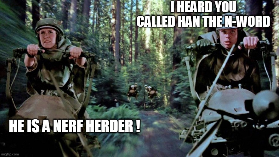 Star Wars | I HEARD YOU CALLED HAN THE N-WORD; HE IS A NERF HERDER ! | image tagged in funny | made w/ Imgflip meme maker