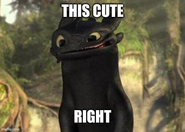 Toothless | THIS CUTE; RIGHT | image tagged in toothless | made w/ Imgflip meme maker